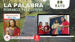 Camino Diario de Oración Personal / 28 de Mayo del 2021