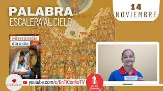 Camino Diario de Oración Personal / 14 de Noviembre del 2023