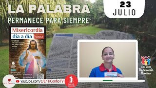 Camino Diario de Oración Personal / 23 de Julio del 2024
