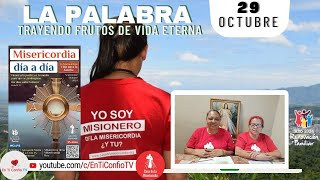 Camino Diario de Oración Personal / 29 de Octubre del 2024