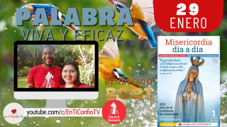 Camino Diario de Oración Personal | 29 de Enero del 2021