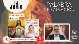Camino Diario de Oración Personal / 14 de Junio del 2024