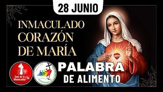 Camino Diario de Oración Personal / 28 de Junio del 2025