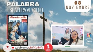 Camino Diario de Oración Personal / 8 de Noviembre del 2024