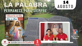 Camino Diario de Oración Personal / 14 de Agosto del 2024