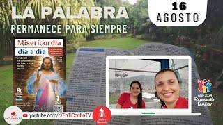 Camino Diario de Oración Personal / 16 de Agosto del 2024