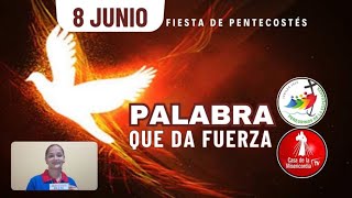 Camino Diario de Oración Personal / 8 de Junio del 2025