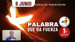 Camino Diario de Oración Personal / 8 de Junio del 2025