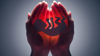 Nuestro Pecado ante el avance de la Cultura de la Muerte