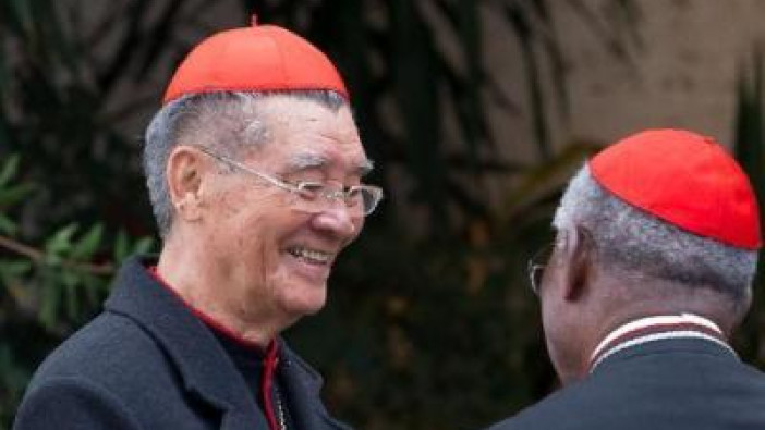 Llega el cardenal vietnamita a Roma