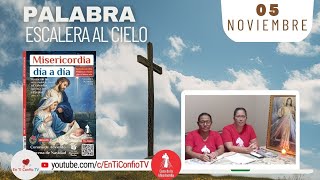 Camino Diario de Oración Personal / 5 de Noviembre del 2024