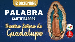 Camino Diario de Oración Personal / 12 de Diciembre del 2025