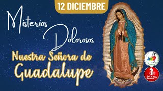 Santo Rosario Misterios Dolorosos / 12 de Diciembre de 2025