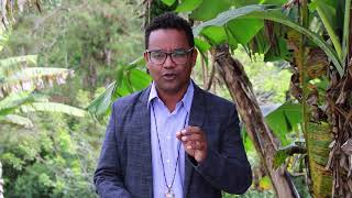 La Divina Misericordia en mi alma - Diario de Santa Faustina