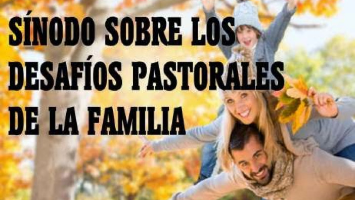  El Instrumentum Laboris ofreció al Sinodo de los obispos un amplio cuadro de la situación actual de las familias