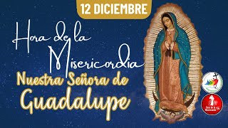Hora de la misericordia / 12 de Diciembre de 2025