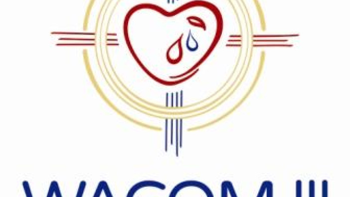 Colombia avanza en los preparativos para el III Congreso Apostólico Mundial de la Misericordia