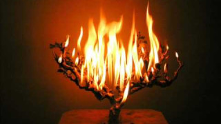 Lectio Divina 1: La Zarza Ardiente y cómo usar las fichas