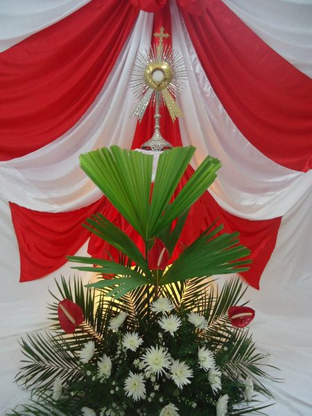 fiesta-cucuta-66.jpg