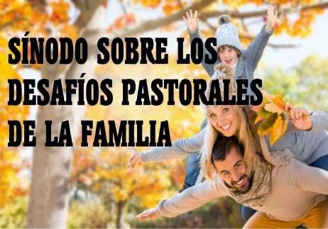 sinodofamilia 462